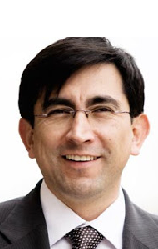 Diego Molano Vega